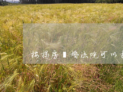 按揭房離婚法院可以拍賣嗎