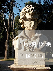 按揭挖機(jī)逾期被起訴會影響征信嗎(擔(dān)保的貸款逾期被起訴會上征信嗎)