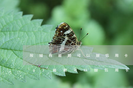 按揭有逾期可以辦信用卡嗎(貸款有過(guò)逾期可以辦信用卡嗎)