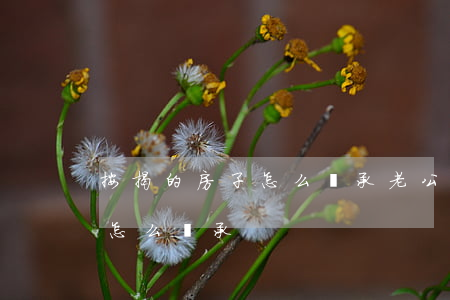 按揭的房子怎么繼承(老公去世房子還有貸款怎么繼承)
