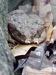 按揭買房子的流程是怎樣的（貸款買房的基本條件有哪些）
