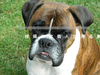 按揭貸款個人信用逾期(信用貸款多久算逾期)