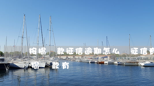 按揭貸款征信逾期怎么辦(征信有逾期買房按揭貸款有問題嗎)