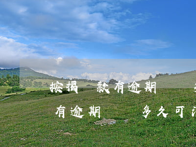 按揭貸款有逾期記錄多久可消除-按揭貸款有逾期記錄多久可消除掉