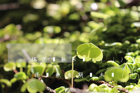 按揭貸款累計(jì)逾期幾次起訴(房屋按揭貸款逾期幾次會(huì)被起訴)