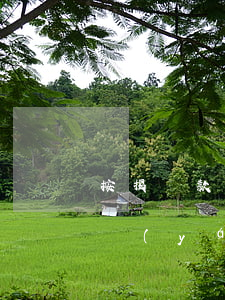 按揭貸款逾期后果(貸款逾期后果比你想象更嚴(yán)重)