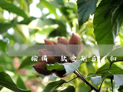 按揭貸款逾期后沒扣(貸款不夠錢扣,算逾期了嗎)
