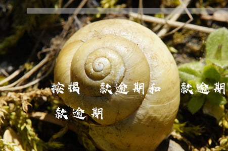 按揭貸款逾期和貸款逾期(按揭貸款逾期和貸款逾期)