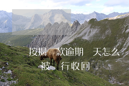 按揭貸款逾期幾天怎么辦 按揭貸款逾期多久會被銀行收回