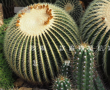 按揭貸款逾期征信如何(銀行貸款逾期上征信怎樣處理)