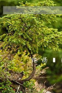 按揭貸款逾期接到法院(貸款逾期喊去司法局)