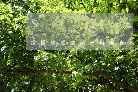 按揭貸款逾期未辦理責(zé)任(逾期無法貸款)