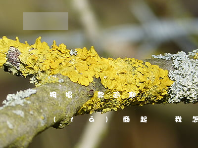 按揭貸款逾期開發(fā)商(房貸逾期開發(fā)商起訴我怎么處理)