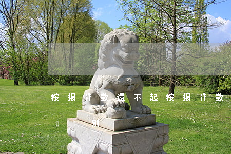 按揭貸款還不起(按揭貸款與抵押貸款區(qū)別)