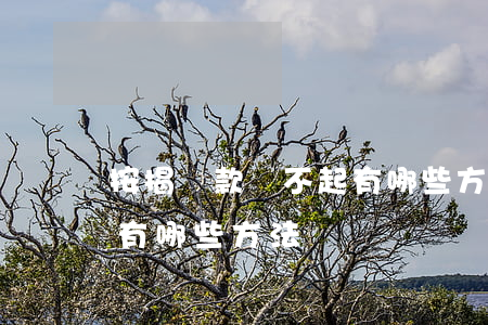 按揭貸款還不起有哪些方法(按揭貸款還不起有哪些方法)