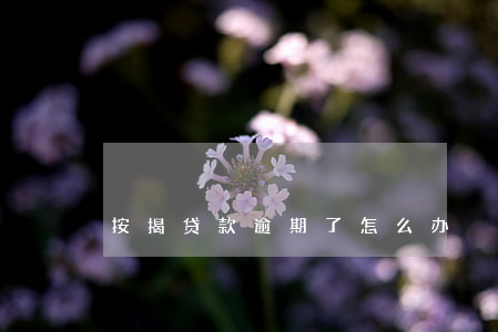 按揭贷款逾期了怎么办