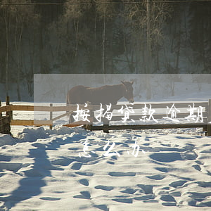 按揭贷款逾期后法院如何处理(按揭房贷逾期怎么办)