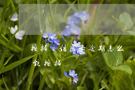 按揭車信用卡逾期怎么辦(信用卡有過逾期還能按揭車嗎)