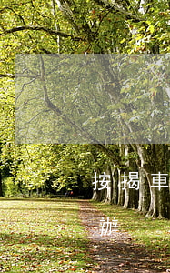 按揭車抵押貸款逾期(汽車抵押貸款逾期了咋辦)