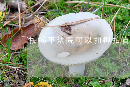按揭車法院可以扣押拍賣嗎