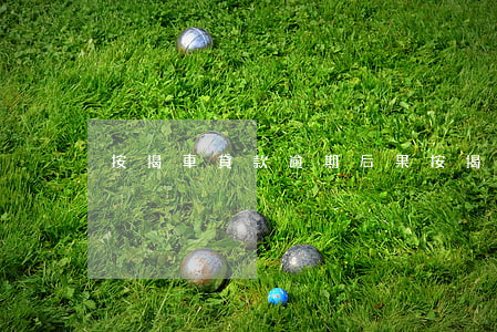按揭車貸款逾期后果(按揭車貸款逾期后果)