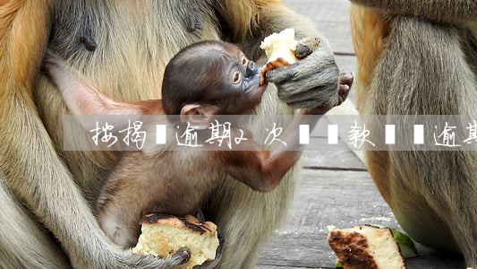 按揭車逾期2次沒還款(車貸逾期2天)