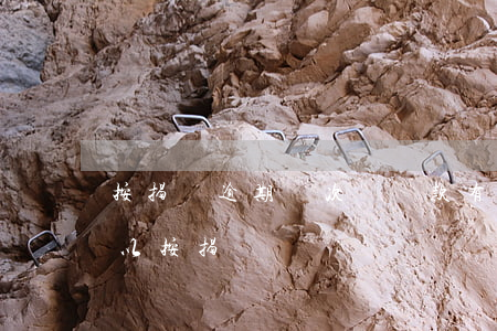 按揭車逾期兩次沒還款(有逾期但是還完了可以按揭車嗎)