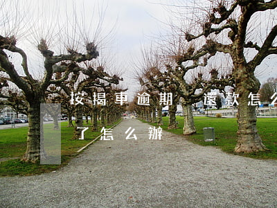 按揭車逾期沒還款怎么辦(汽車按揭還款逾期了怎么辦)