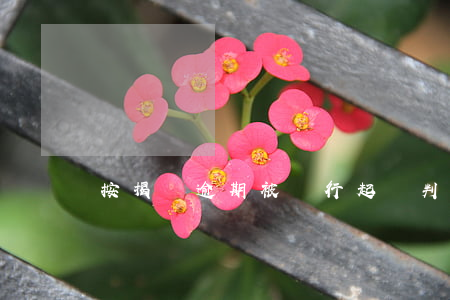 按揭車逾期被銀行起訴判決書(車貸逾期被起訴)