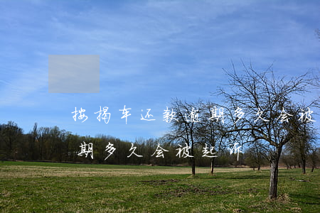 按揭车还款逾期多久会被起诉（按揭车还款逾期多久会被起诉）