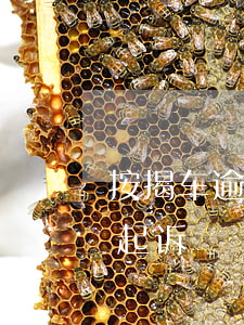 按揭车逾期起诉要多久 车贷逾期最快多久被起诉