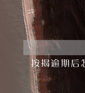 按揭逾期后怎么还款(还贷款逾期了怎么办)