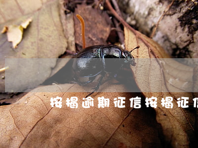 按揭逾期征信(按揭征信逾期怎么處理)