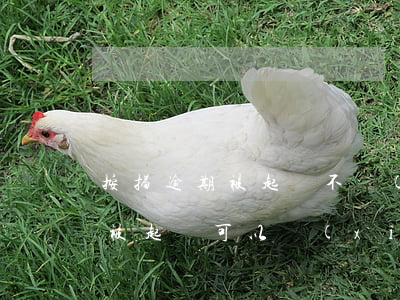 按揭逾期被起訴不協(xié)商(房貸未還被起訴可以協(xié)商嗎)
