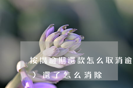 按揭逾期還款怎么取消(逾期已經(jīng)還了,怎么消除)