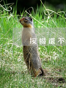 按揭還不起貸款(如果按揭還不起怎么辦)