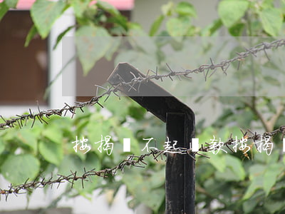 按揭還不起貸款(按揭還不起貸款怎么辦)
