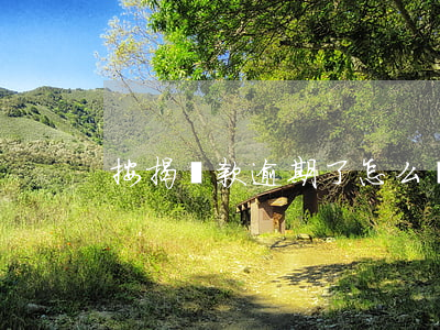按揭還款逾期了怎么辦(房貸逾期后怎么還款)