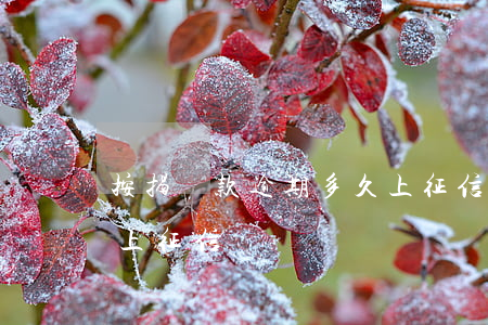按揭還款逾期多久上征信(按揭還款逾期多久上征信)