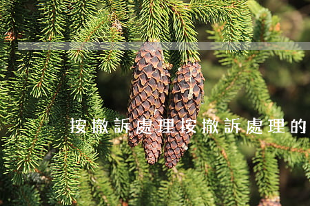 按撤訴處理(按撤訴處理的裁定書)