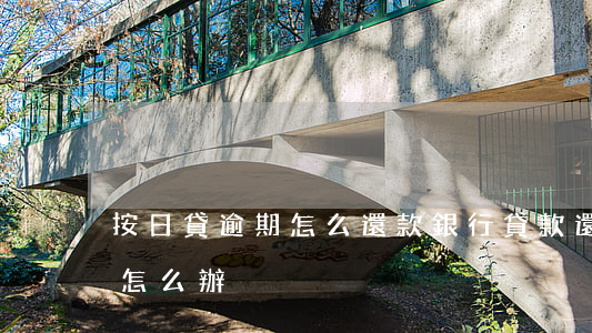 按日貸逾期怎么還款(銀行貸款還款逾期一天怎么辦)