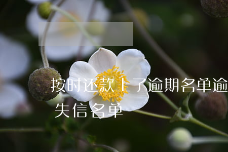 按时还款上了逾期名单(逾期还款完成会取消失信名单)