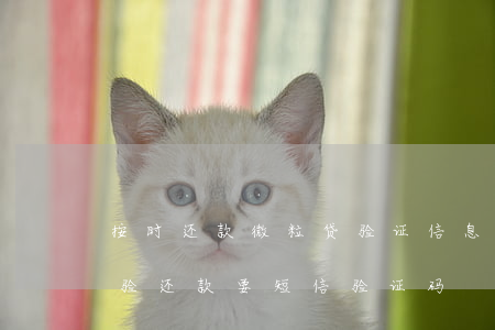 按时还款微粒贷验证信息需要管吗-微粒贷验还款要短信验证码