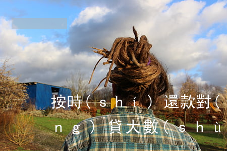 按時(shí)還款對(duì)網(wǎng)貸大數(shù)據(jù)有影響嗎-按時(shí)還款對(duì)網(wǎng)貸大數(shù)據(jù)有影響嗎知乎