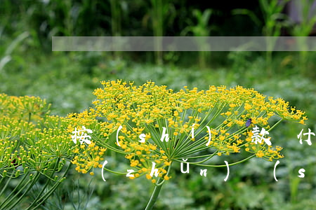 按時(shí)還款為什么還有逾期記錄(我準(zhǔn)時(shí)還款為什么說(shuō)我有逾期)