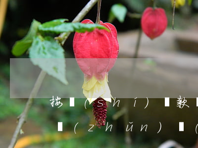 按時(shí)還款為什么還有逾期記錄(我準(zhǔn)時(shí)還款為什么說我有逾期)