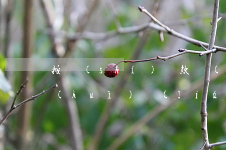 按時(shí)還款網(wǎng)貸不會(huì)聯(lián)系緊急聯(lián)系人-按時(shí)還款網(wǎng)貸不會(huì)聯(lián)系緊急聯(lián)系人嗎