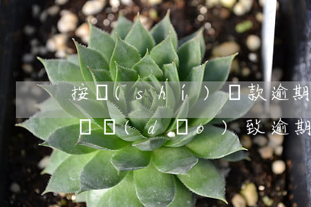 按時(shí)還款逾期是什么原因(還款失敗導(dǎo)致逾期)