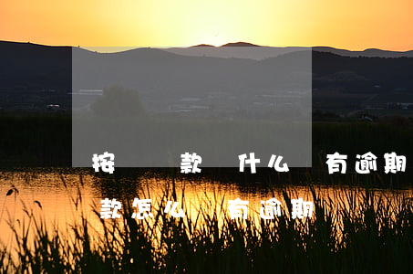 按時還款為什么還有逾期怎么解決-按時還款怎么會有逾期