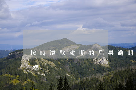 按時還款逾期的后果(逾期一直有還款會怎么樣)